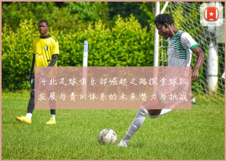河北足球俱乐部崛起之路探索球队发展与青训体系的未来潜力与挑战