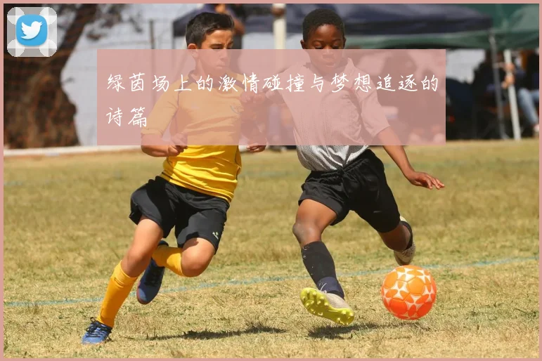 绿茵场上的激情碰撞与梦想追逐的诗篇