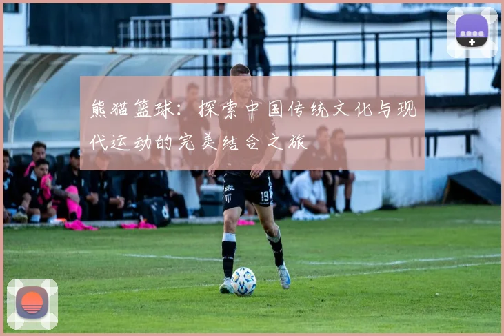 熊猫篮球：探索中国传统文化与现代运动的完美结合之旅