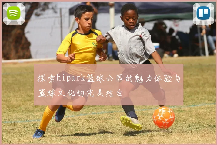 探索hipark篮球公园的魅力体验与篮球文化的完美结合