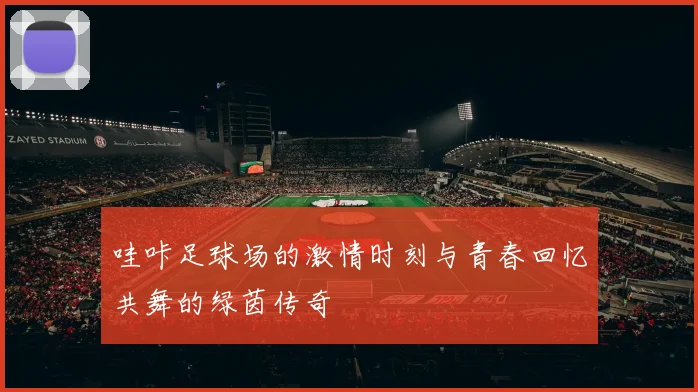 哇咔足球场的激情时刻与青春回忆共舞的绿茵传奇